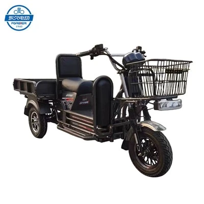 Sepeda Listrik Roda 3
